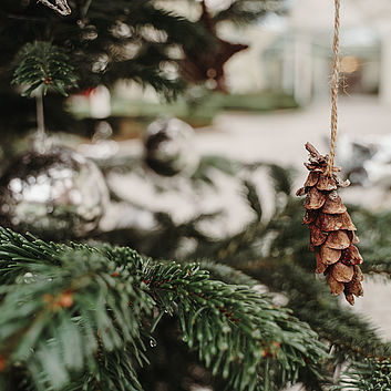 Weihnachten im DAZUMAL 