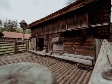 Schweinestall im Dazumal Bad Tatzmannsdorf